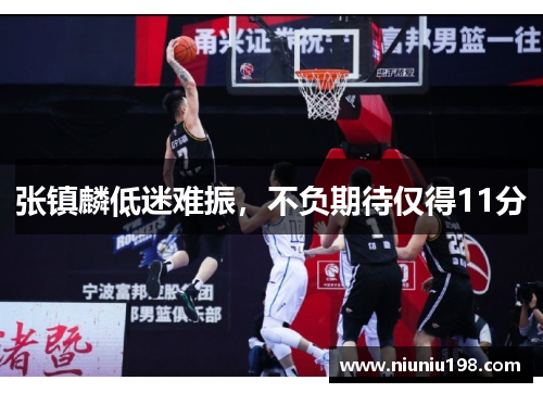 张镇麟低迷难振，不负期待仅得11分